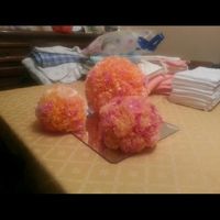 Cosa ne pensate del mio matrimonio? ?? - 1