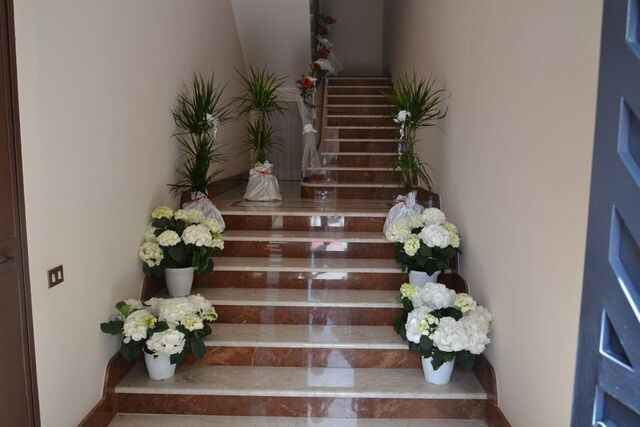 Help!!!!! Tema: Fiori!!!!!! 🌸🌸🌸 - 2