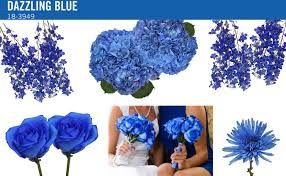 Colore del matrimonio - 13