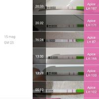 Chi non le aspetta per giugno 2020🥰🤞🏻 - 1