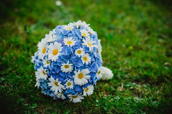 Bouquet di ortensie per la sposa: lo sceglieresti? 💙 4