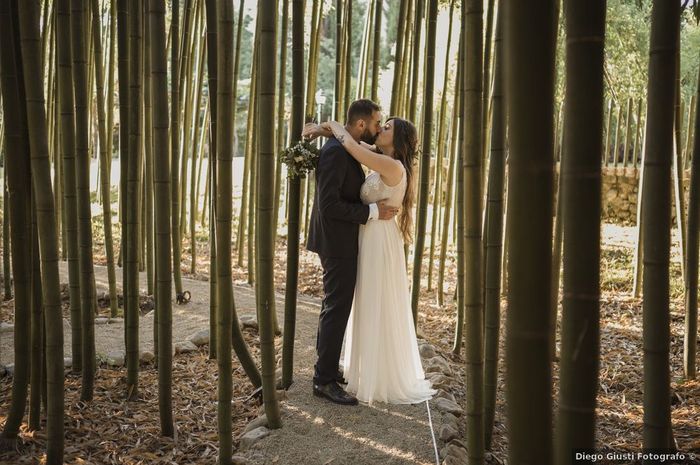 Matrimonio nel bosco: sì o no? 💚 - 2
