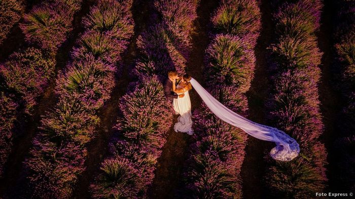 Cosa ne pensi di un servizio fotografico nei campi di lavanda?🌺💜 3