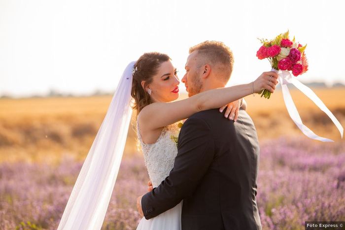 Cosa ne pensi di un servizio fotografico nei campi di lavanda?🌺💜 - 3