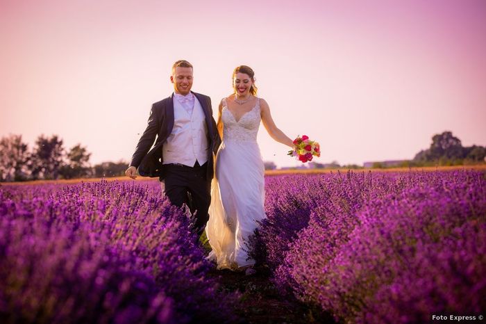 Cosa ne pensi di un servizio fotografico nei campi di lavanda?🌺💜 - 4