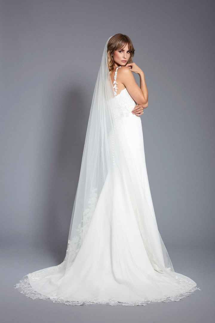 Velo: salvi o elimini? - 1