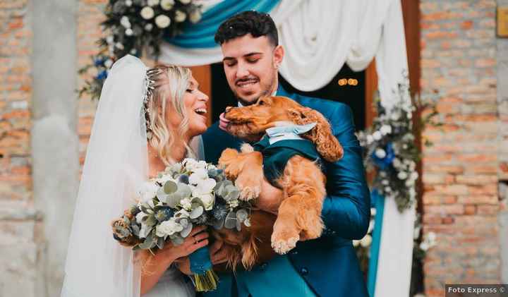 Fai rumore: giudica il look della mascotte - 1