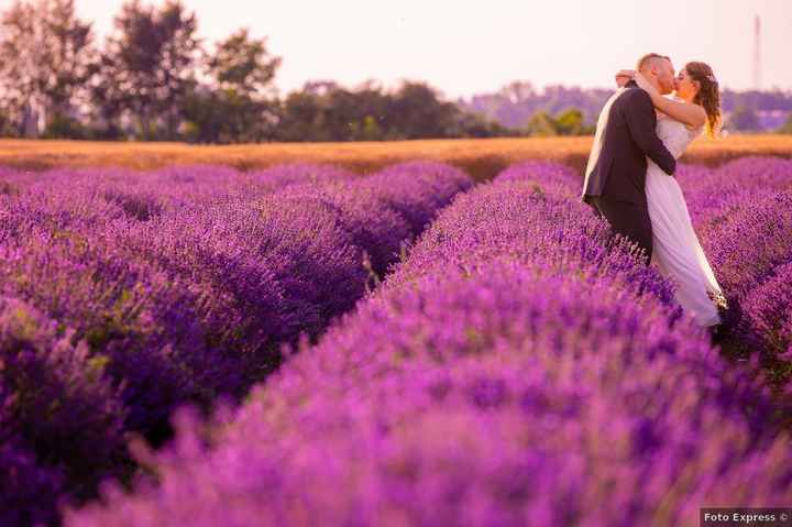 Cosa ne pensi di un servizio fotografico nei campi di lavanda?🌺💜 - 2