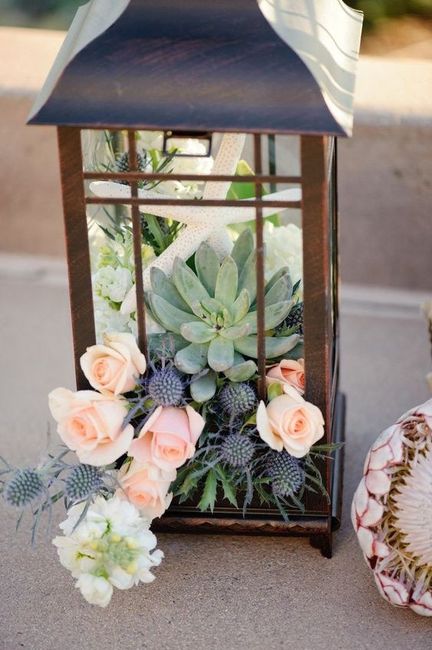 matrimonio tema succulente