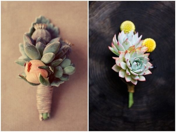 matrimonio tema succulente