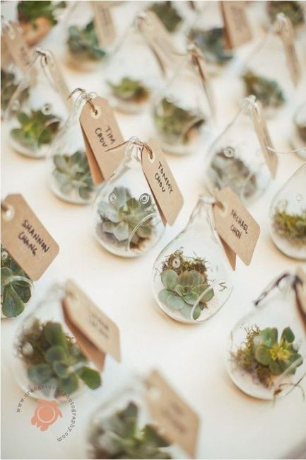 matrimonio tema succulente