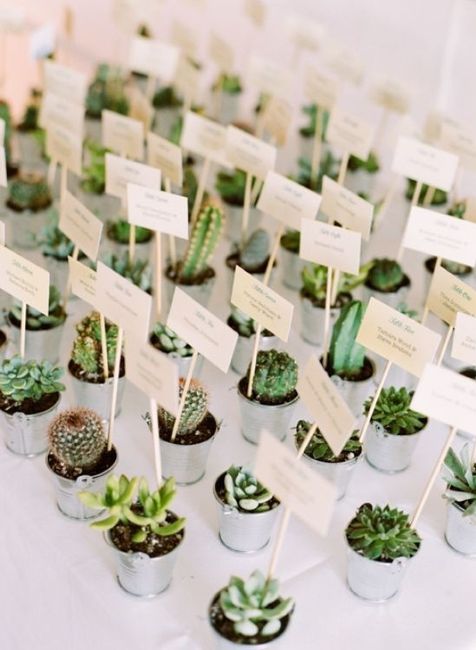 matrimonio tema succulente