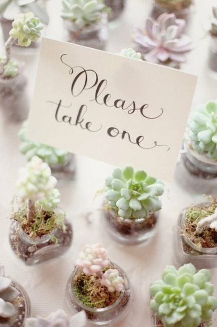 matrimonio tema succulente