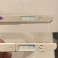 Chi non le aspetta per Maggio 2020 - 1