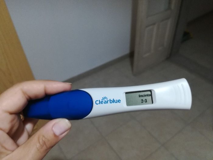 Aspiranti pancine di Agosto 2018 1