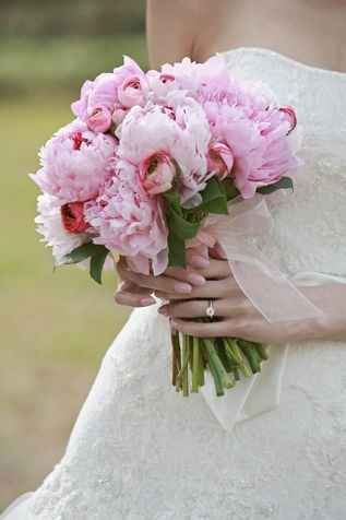 Che fiori mi consigliate? - 2