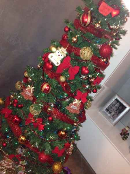 Pubblichiamo la foto dei nostri alberi!! ;) - 2