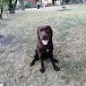 Federico