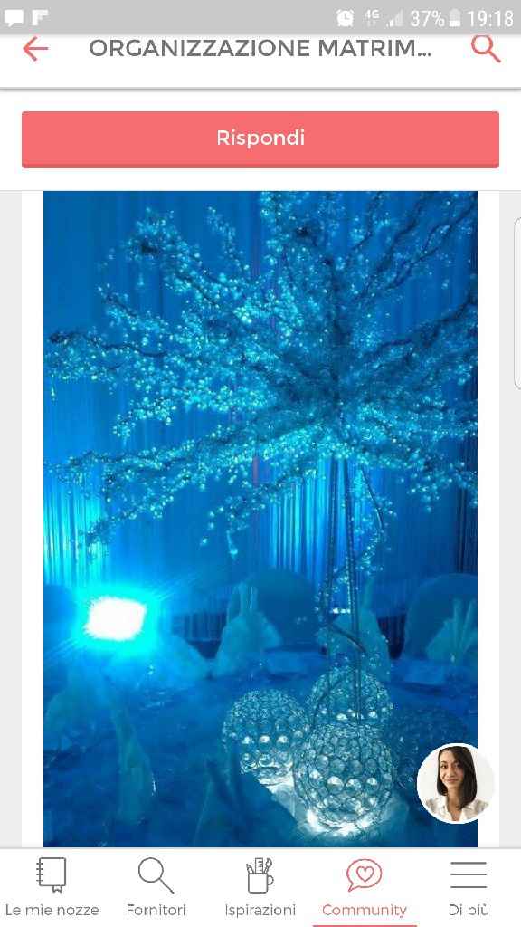 Sos tema con colore tiffany - 4