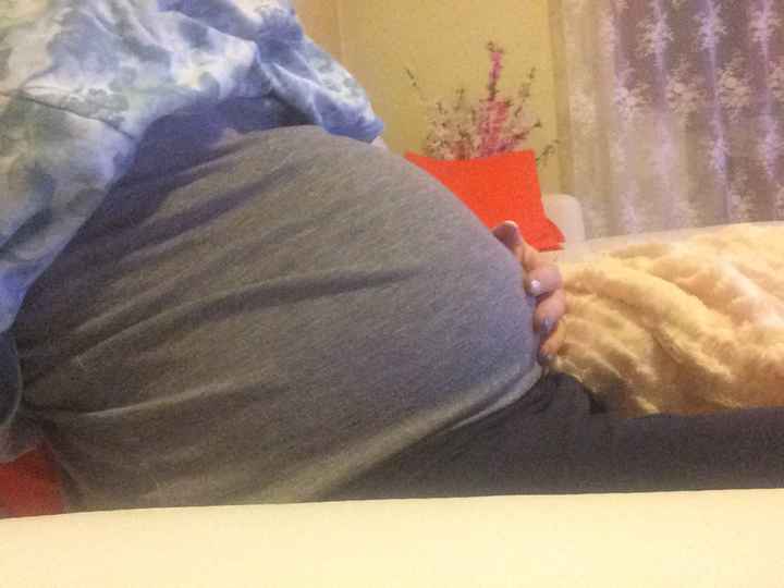  Ed ecco la mia pancia ! - 1