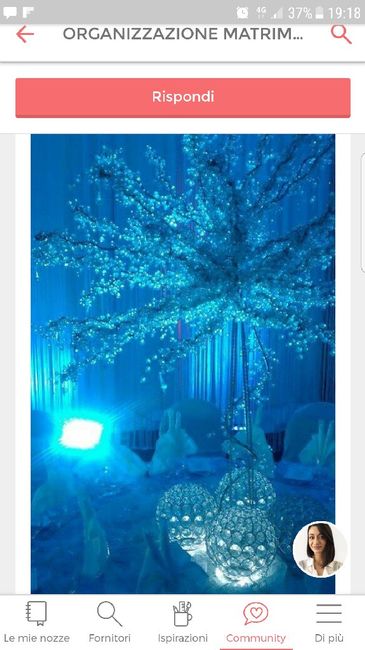 Sos tema con colore tiffany - 4