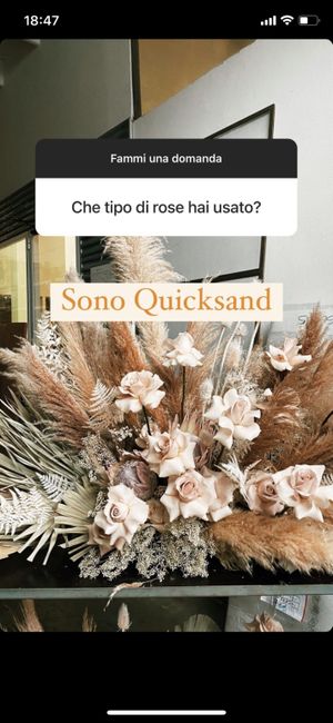 Ansia e indecisioni varie - 4