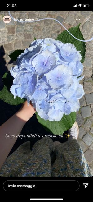 Bouquet bianco e blu/azzurro 6