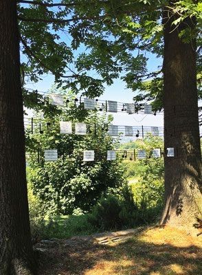 Tableau tema musica 9