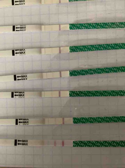 Test ovulazione, ovuli, etc.. 3