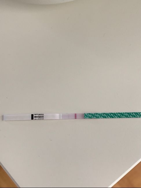 Aspiranti mammine Maggio 2019 2