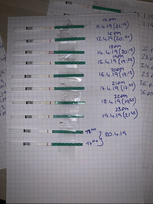 Lettura test ovulazione canadese aiutatemi a capire vi prego! 3