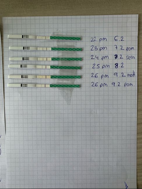 Aspiranti mammine Maggio 2019 1
