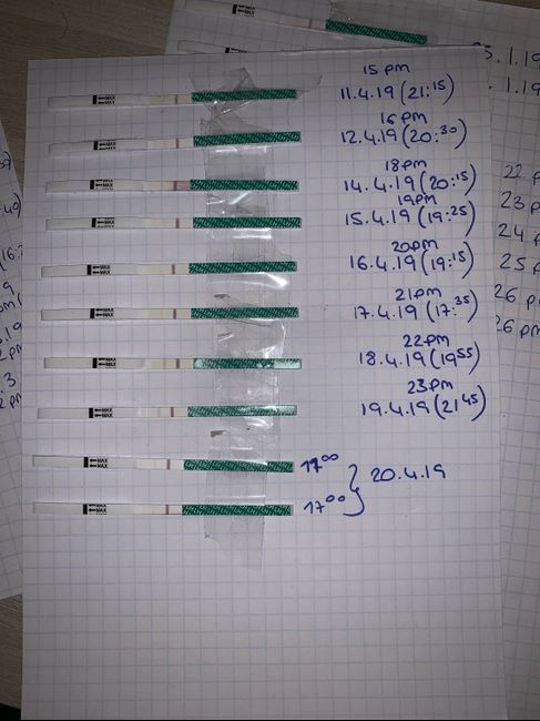 Stik ovulazione positivo? - 1
