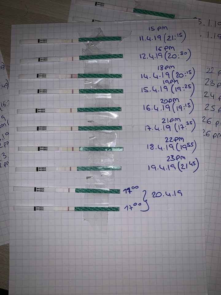 Stik ovulazione positivo? - 1