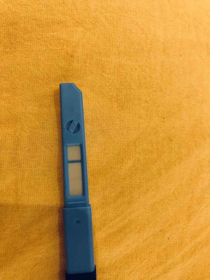 Mammine di febbraio 2020 - 1