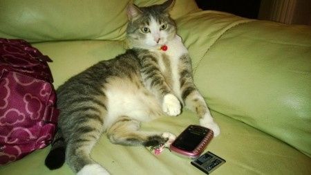 ma questo telefono e gia anticoooo oooo :)