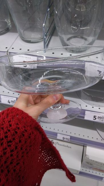 Allestimento confettata - 3