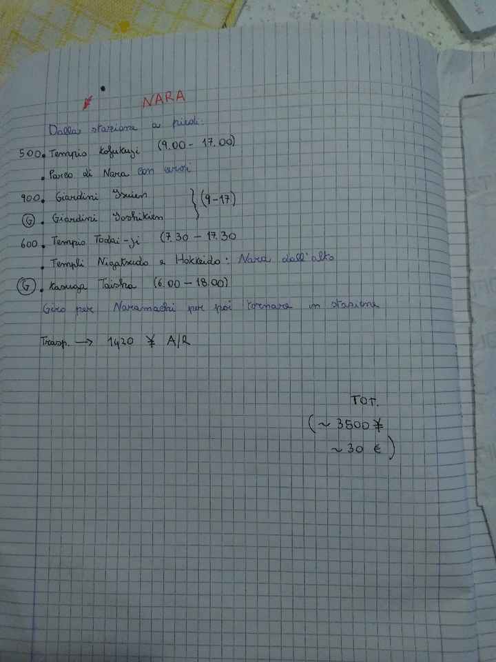 Viaggio di nozze Giappone - 14