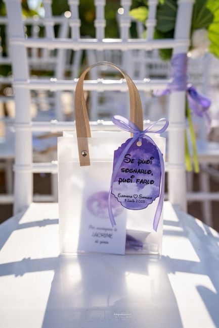 Wedding bag 2