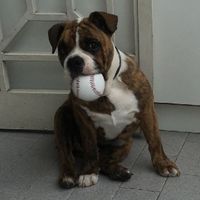 Regalo marito...consigli! - 1