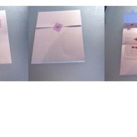 Le mie Partecipazioni!!!!