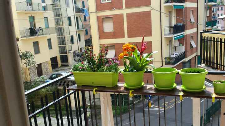 Tutte noi che abbiamo casa piccina... - 3