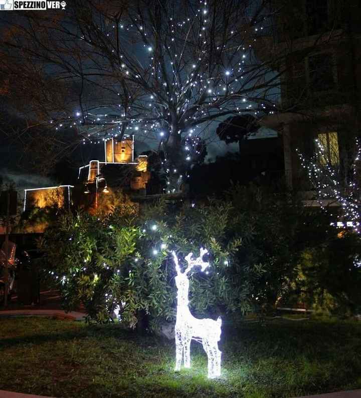 Albero di natale nel vostro paese - 1