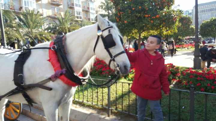 Chi vi porterÀ le fedi ??? - 3