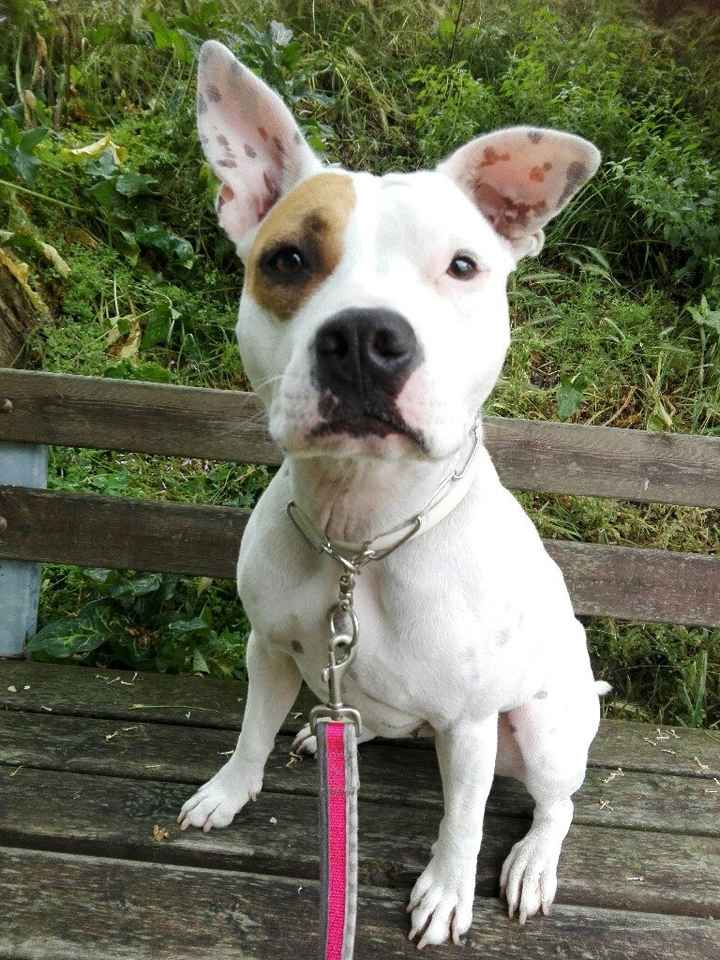 Curiosità ultime foto che avete salvato sul cellulare - 2