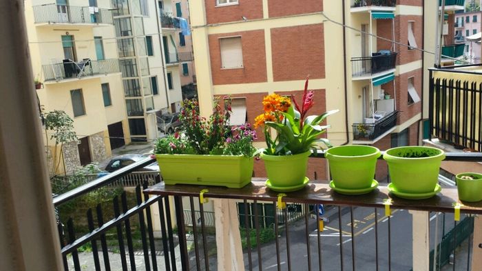 Tutte noi che abbiamo casa piccina... - 3