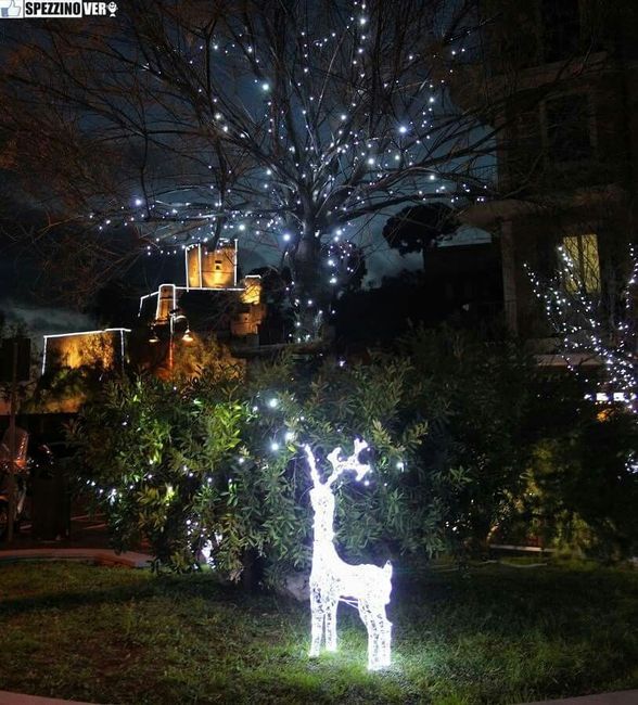 Albero di natale nel vostro paese - 1