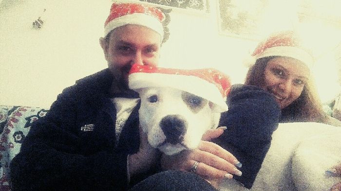 Componenti della famiglia pelosi. - 1