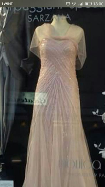 Vestito della testimone - 2