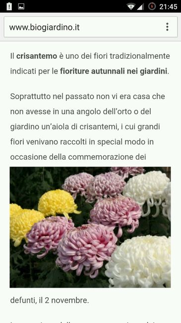 Che fiore è? - 1